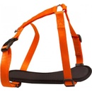 B & F Postroj popruh NEON