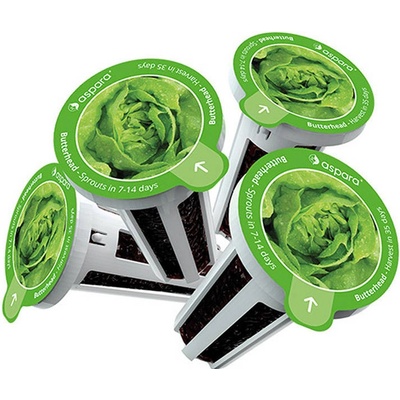 Semená GrowGreen aspara - šalát