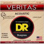 DR Strings VTA-12/56 Veritas Струни за акустична китара (VTA-12/56)