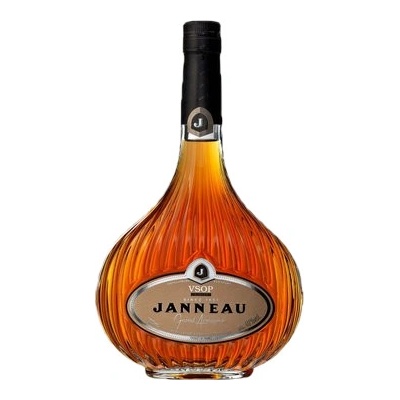 Janneau VSOP 40% 0,7 l (karton) – Zboží Mobilmania