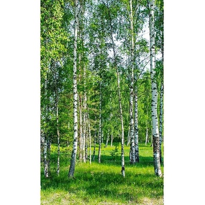 Dimex MS-2-0100 vliesová fototapeta rozměry 150 x 250 cm