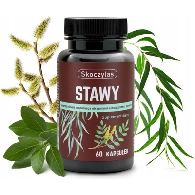 Skoczylas Kĺby 60 kapsúl