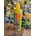 Lignohumát 500 ml