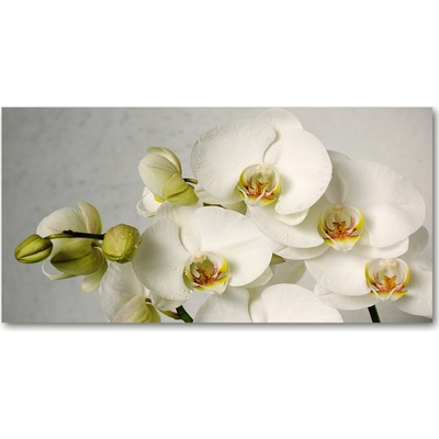 Fotoobraz na skle biela orchidea 100x50 cm
