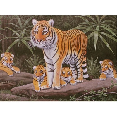 Royal Brush Malování podle čísel Tygřice a mláďata