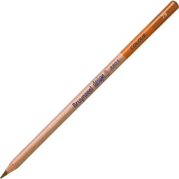 Royal Talens Design Colour Цветен молив Burnt Ochre 1 бр (880579K)