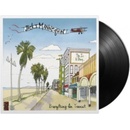 Everything in Transit LP