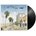 Everything in Transit LP