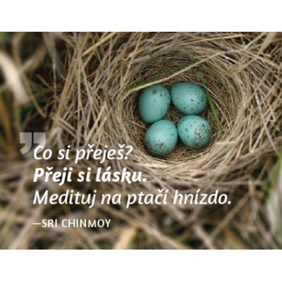 Magnet na lednici Medituj na Láska - Sri Chinmoy Ostatní