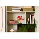 Image 1 of LEGO® Botanicals - Japanese Red Maple Bonsai Tree (10348)