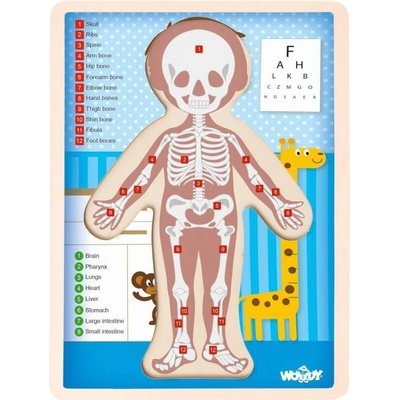 Woody puzzle Ľudské telo chlapec EN