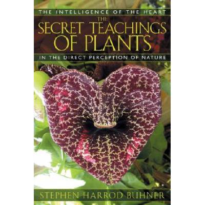 Secret Teachings of Plants - The Intelligence of the Heart in Direct Perception to NaturePaperback
