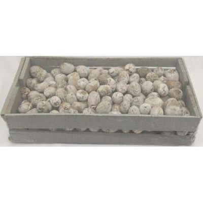 Amra pod snow tip, box 1400 gr