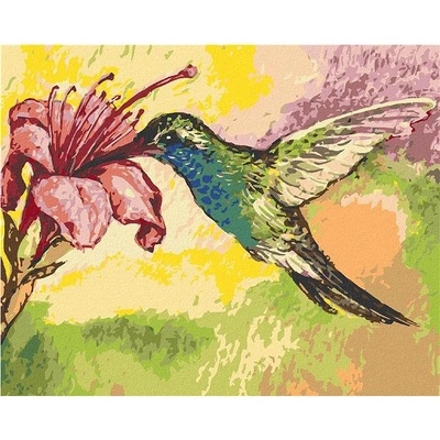 zuty Malování Podle Čísel Kolibřík A Růžová Květina 80 x 100 Cm Plátno Rám
