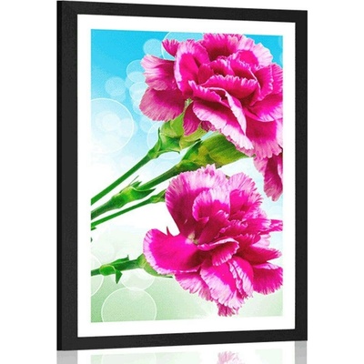 Plakát s paspartou květ karafiátu - 40x60 white