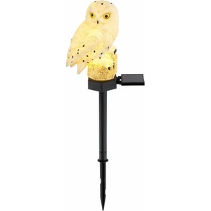 GLOBO Solar 33874