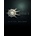 Endless Space 2 (Deluxe Edition)