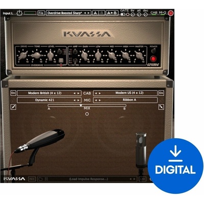 KUASSA Amplifikation Creme