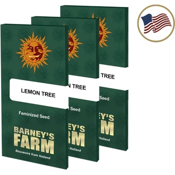 Barney's Farm Lemon Tree semena neobsahují THC 3 ks