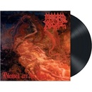 Morbid Angel - Blessed Are The Sick LP