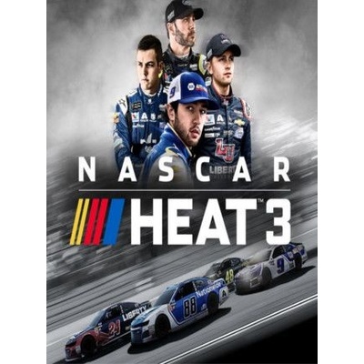 NASCAR: Heat 3