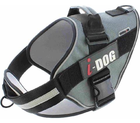 iDOG postroj NeoCITY
