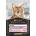 PRO PLAN Adult Delicate Digestion with ocean fish in sauce 85 g