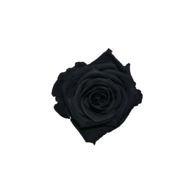 Hlavy ruží - mini 12 ks Black - čierna