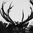 IHSAHN - IHSAHN CD