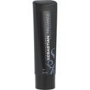 Sebastian Trilliance Shampoo 250 ml