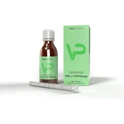VetaPro Liposomal VitB12+5-MTHF sirup 120 ml