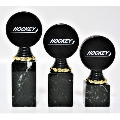 VIZINGR Hokej trofeje P508-MULTI-M401-3 P508-MULTI-M401/15 cm