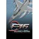 F-16 Multirole Fighter