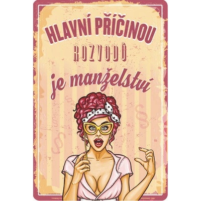 Postershop Plechová ceduľa: Hlavní příčinou rozvodů je manželství - 20x30 cm
