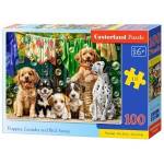 Castorland Puppies, Laundry and Bird Antics 100-piece puzzle B-111305