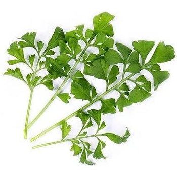 VÉritable (Франция) Пълнител (лингот) Garden cress Organic за настолна градина Véritable® - градински кресон (VLIN-J10-Cre024)