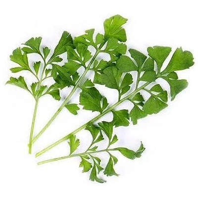 VÉritable (Франция) Пълнител (лингот) Garden cress Organic за настолна градина Véritable® - градински кресон (VLIN-J10-Cre024)