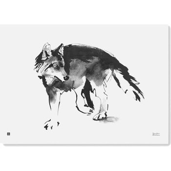 Plagát Wolf 70x50
