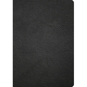 CSB Baker Illustrated Study Bible, Black Genuine Leather (ISBN: 9798384540199)
