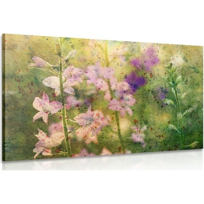 Obraz akvarelový kresba horské rostliny - 120x80