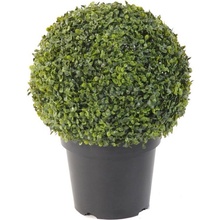 BUXUS KOULE v květináči, 50cm