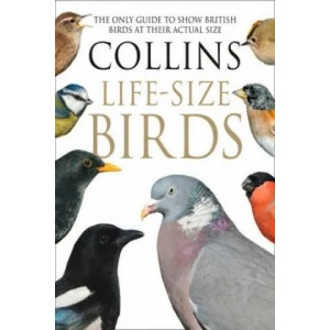 Collins Life-Size Birds | Paul Sterry (2016)