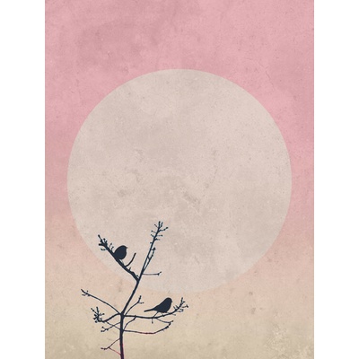 Plagát, Obraz - moonbird8, Finlay & Noa, 30 × 40 cm