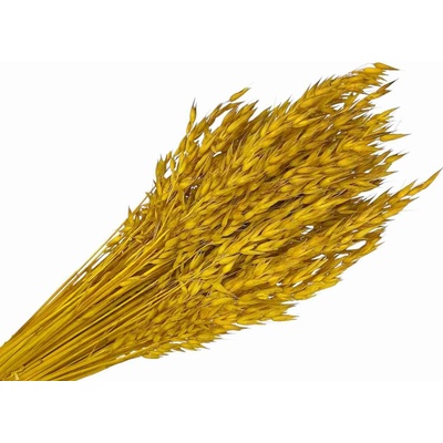Sušený aranžérsky ovos - klasy 150g - žlté