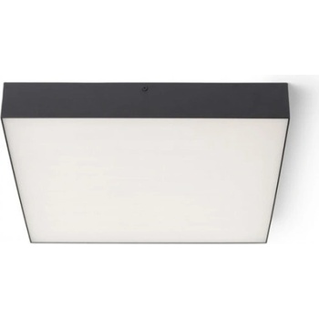 RENDL R13490