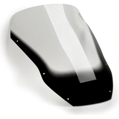 Puig 0422 TOURING Kawasaki ZX-12R (00-01) Dymová (H)