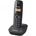 Panasonic KX-TG1611HGH