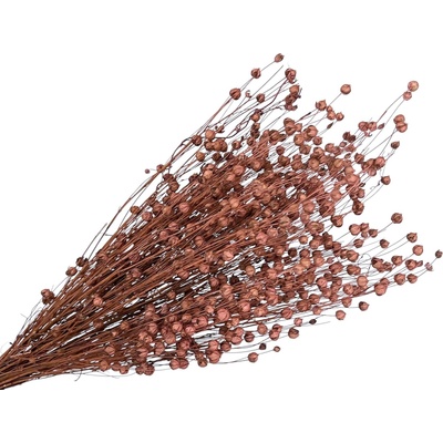 Sušený ľan - kytica cca 100g - staroružový