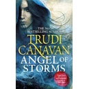 Angel of Storms: Book 2 of Millennium's Rule- Trudi Canavan