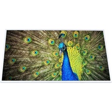 LCD LESK HD FUJITSU LIFEBOOK A512 A530